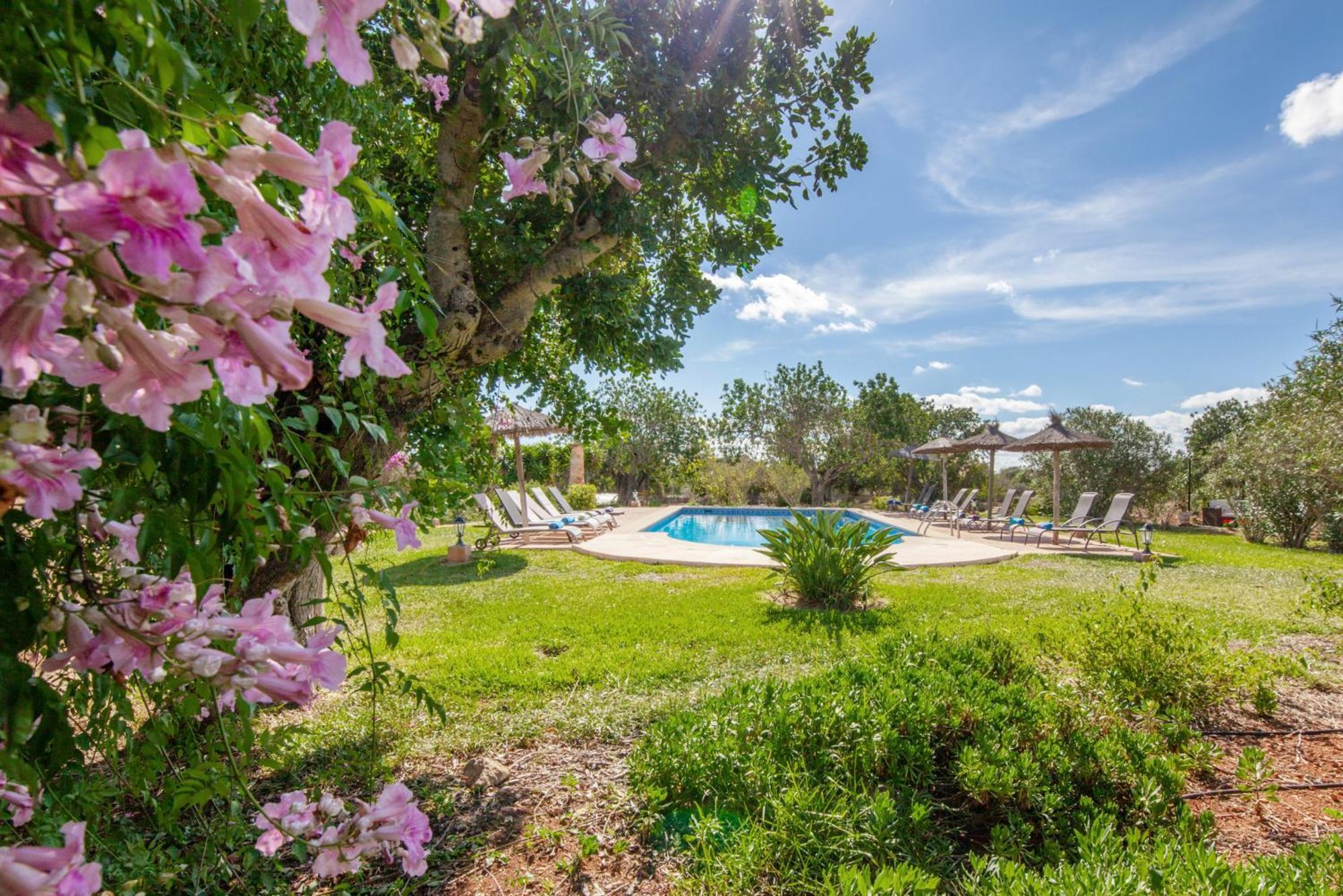 Finca Son Marimon (Adults Only) Сантаньи Экстерьер фото