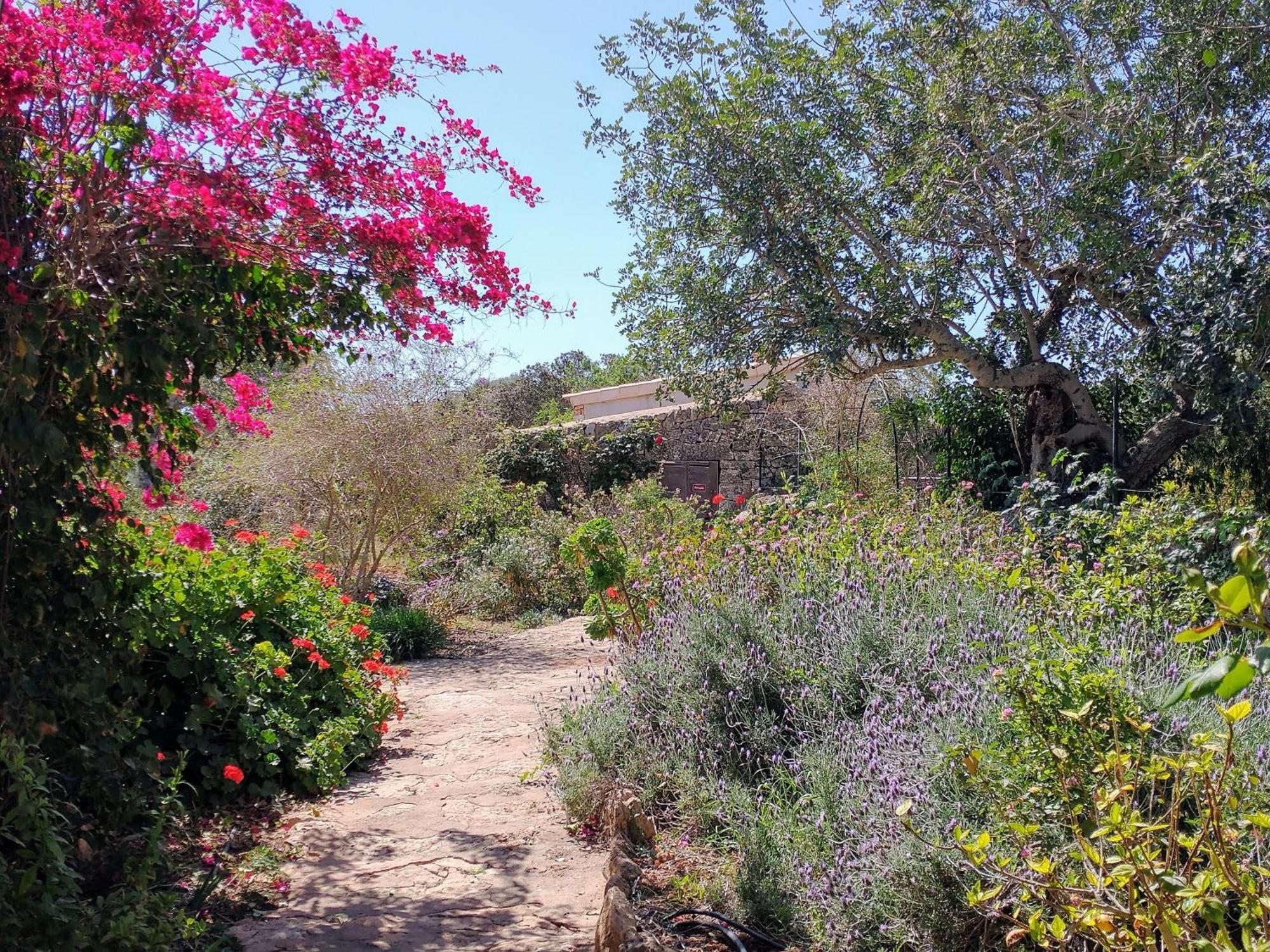 Finca Son Marimon (Adults Only) Сантаньи Экстерьер фото