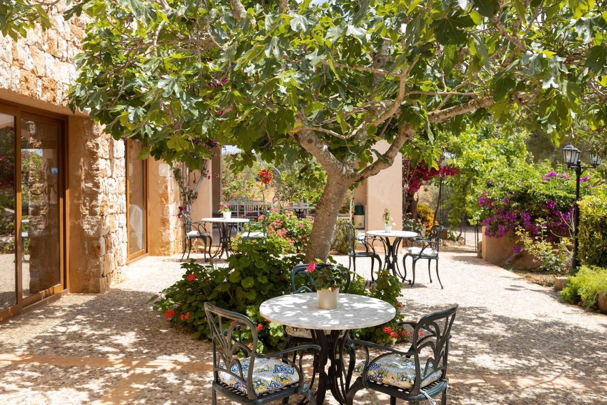 Finca Son Marimon (Adults Only) Сантаньи Экстерьер фото